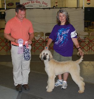 RAHC Best opposite Sex Puppy in Match2012a.jpg - 25.12 K